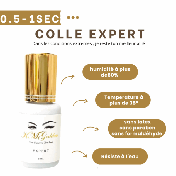 colle expert