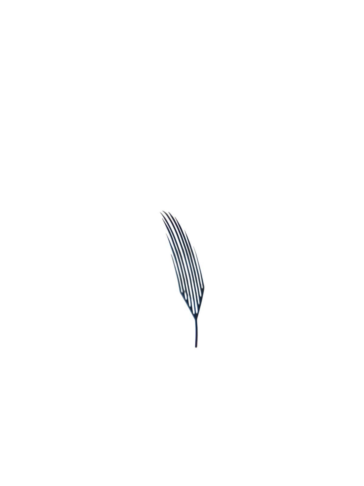 Anime Lash / Wispy grande taille unique – Image 1