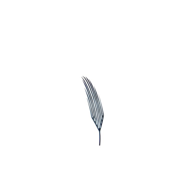Anime Lash / Wispy grande taille unique
